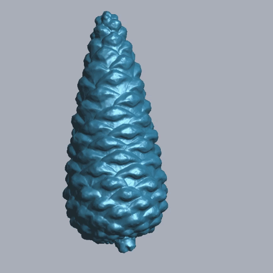 RigelScan三維激光掃描儀應(yīng)用于植物3D數(shù)據(jù)采集建模和存檔分析