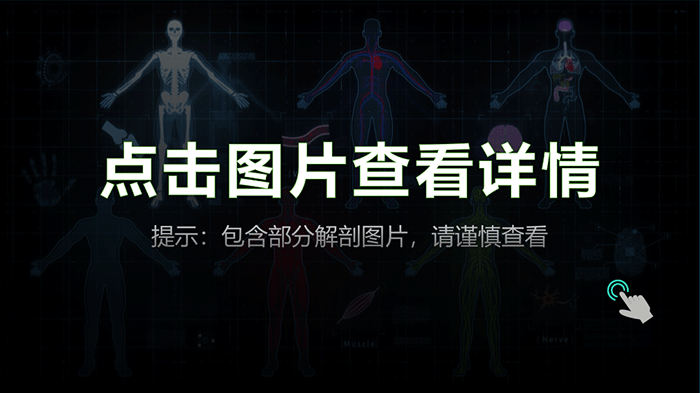 3D掃描儀應(yīng)用于人體解剖——標本3D數(shù)字化和存檔