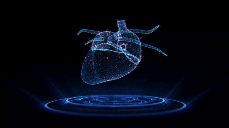 3D掃描儀用于動物實驗——動物心臟解剖實驗